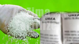 where to buy urea fertilizer