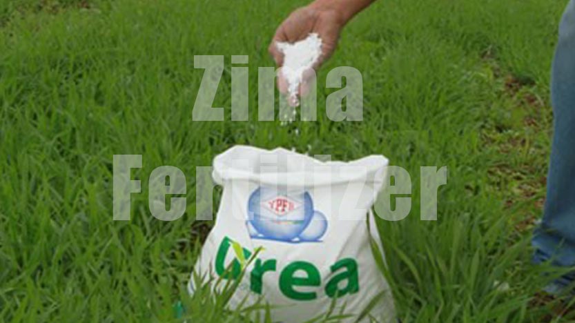 What is urea, and how can it be prepared?